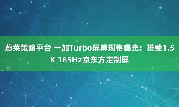 蔚莱策略平台 一加Turbo屏幕规格曝光：搭载1.5K 165Hz京东方定制屏