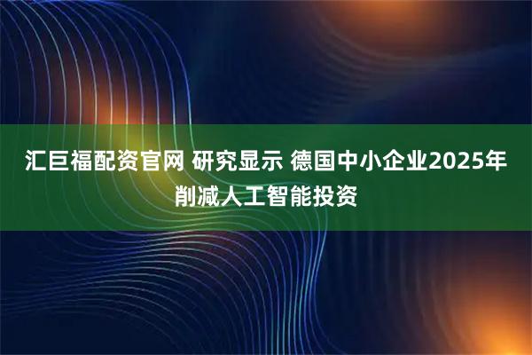 汇巨福配资官网 研究显示 德国中小企业2025年削减人工智能投资
