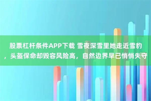 股票杠杆条件APP下载 雪夜深雪里她走近雪豹，头盔保命却毁容风险高，自然边界早已悄悄失守