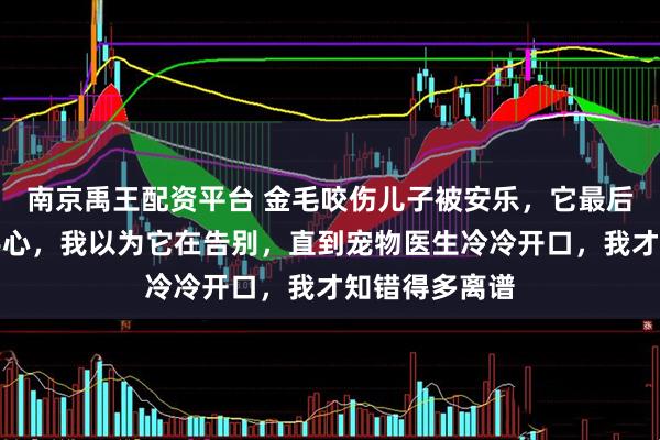 南京禹王配资平台 金毛咬伤儿子被安乐，它最后舔了舔我的手心，我以为它在告别，直到宠物医生冷冷开口，我才知错得多离谱